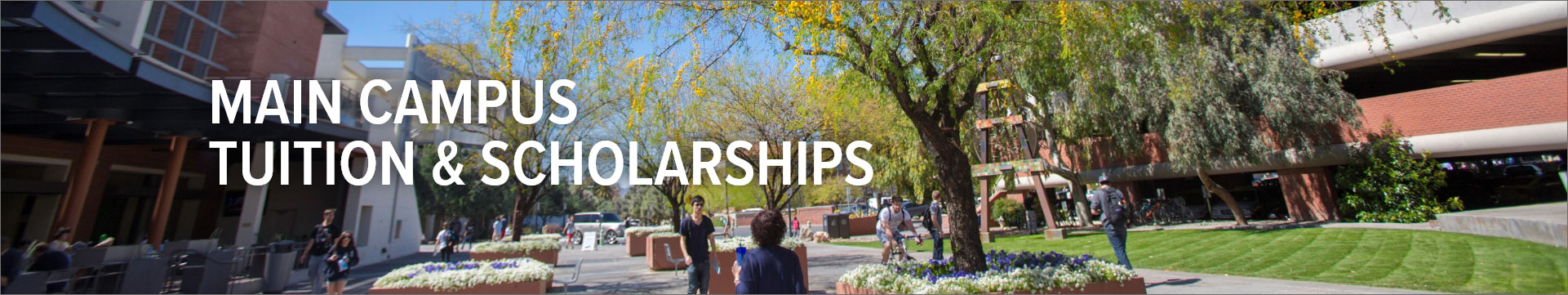 Main Campus Tuition & Scholarships