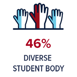 46% Diverse Student Body