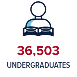 36,503 Undergraduates